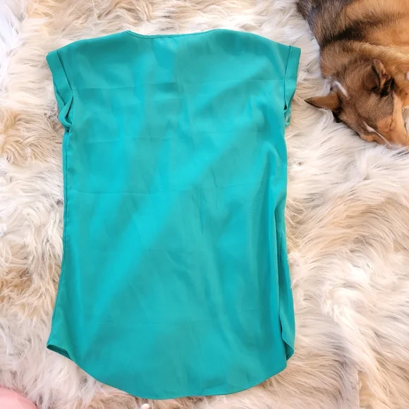 Express Silky Blouse - Picture 3 of 6